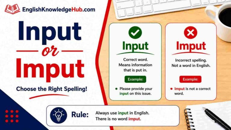 Input or Imput